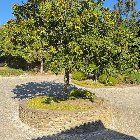 Casa Do Paco Douro Valley- Private Pool & River View Peso da Régua